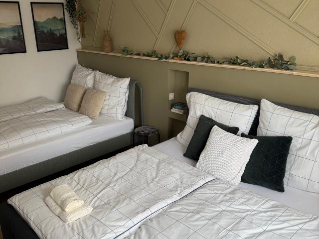 Beautiful flat with large terrace Ubstadt Weiher