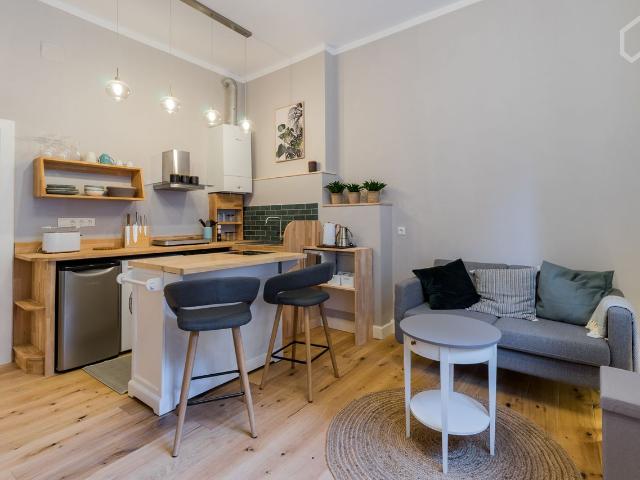 Beautiful flat in the heart of Neukölln, Berlin Amsterdam Apartments for Rent
