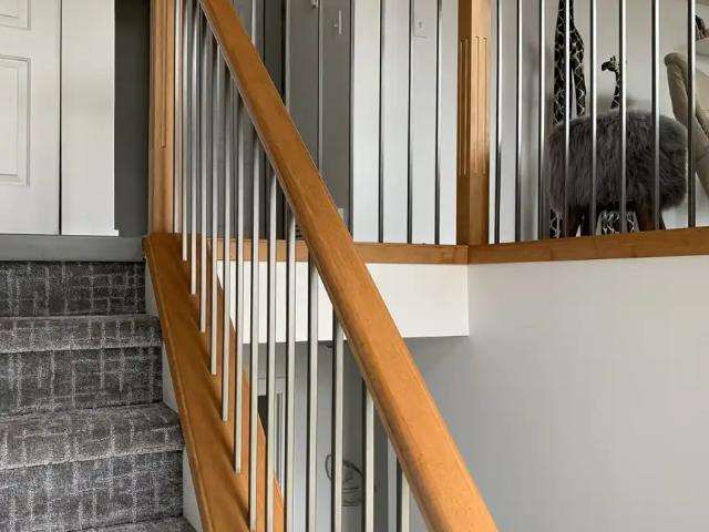 Beautiful Fully Renovated Apartment
