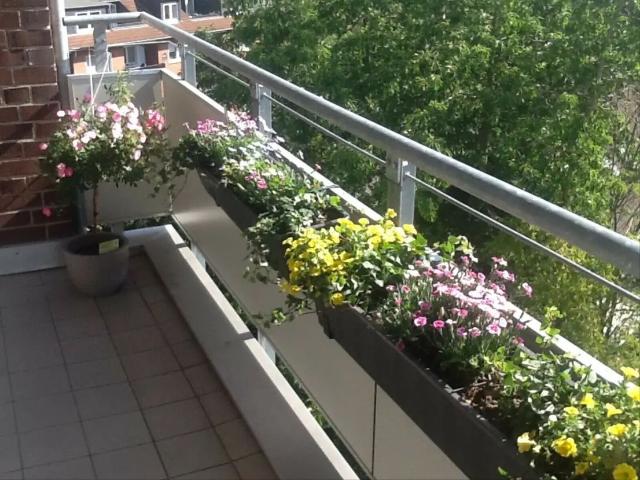 Beautiful furnished apartment with balcony