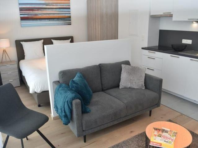 Beautiful furnished studio for rent in Brussels
