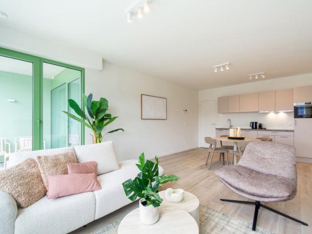 Beautiful furnished 1br. apartment with nice terrace
