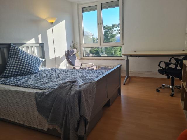 Beautiful & impressive Loft in Mainz, Mainz Amsterdam Apartments for Rent