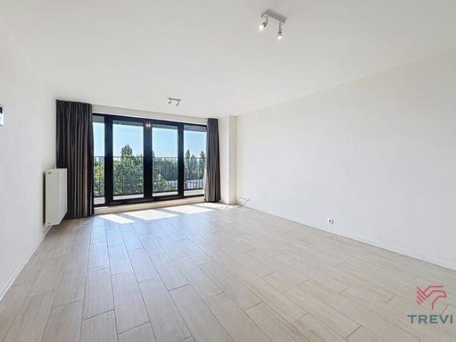 Beautiful one bedroom apartment + P