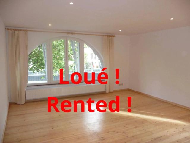 Beautiful one bedroom apartment