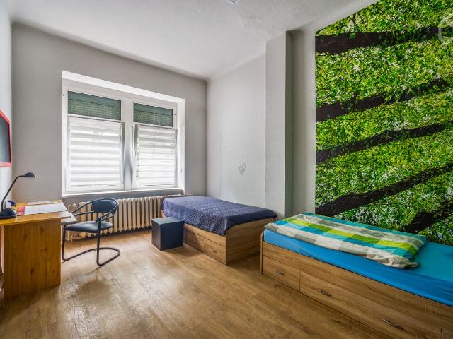 Beautiful & lovely loft located in Dresden, Dresden Amsterdam Apartments for Rent