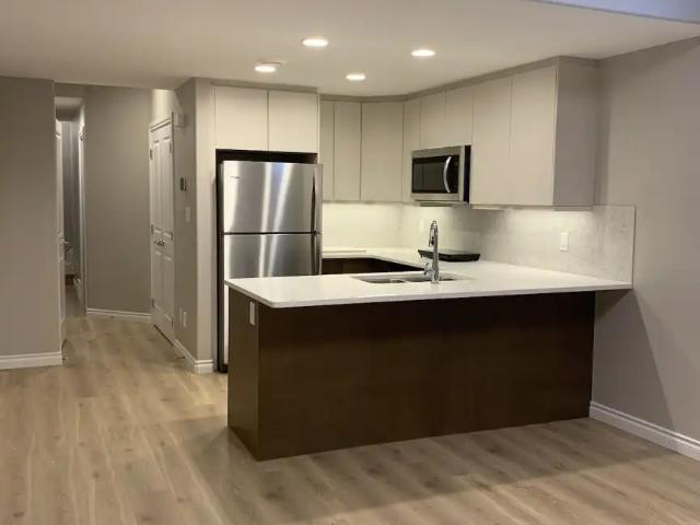 Beautiful Lower Level Space with Separate Entrance
