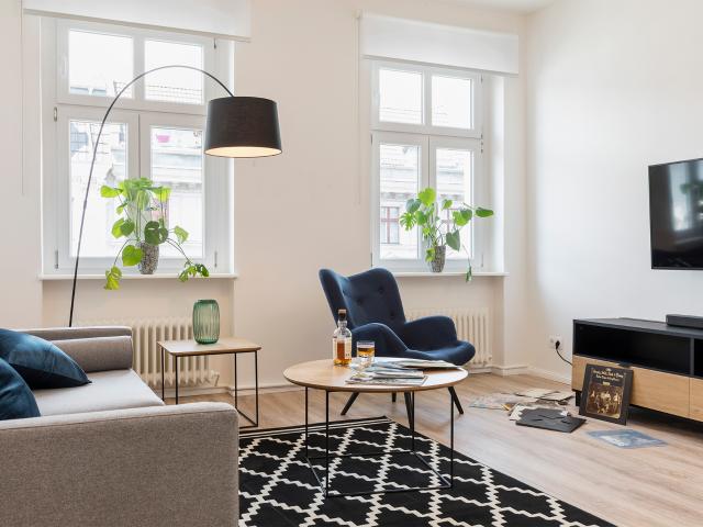 BEAUTIFUL LARGE APARTMENT IN CLASSIC ALT BAU