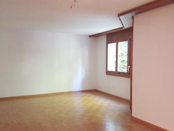 Wohnung mieten in Thalwil