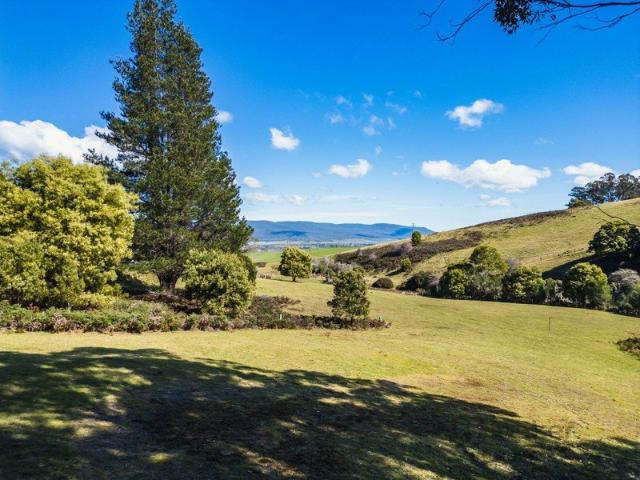 Beautiful lifestyle block minutes from town