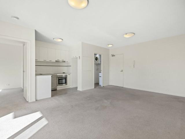 Beautiful Light Filled Apartment!