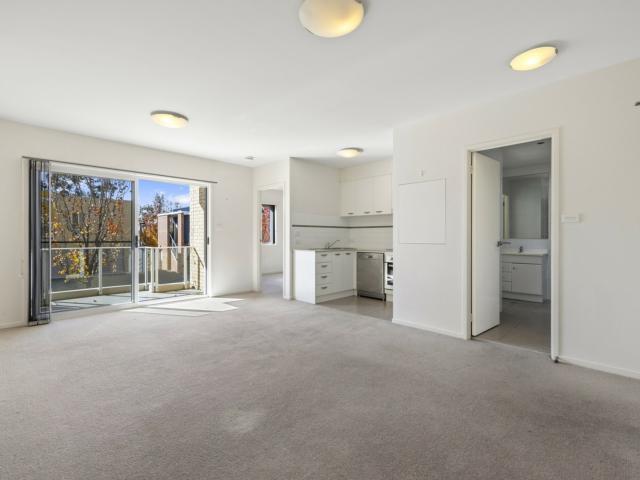 Beautiful Light Filled Apartment!