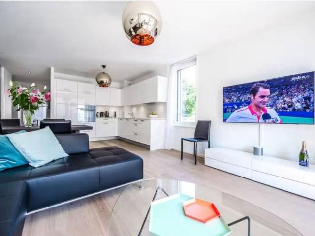 Beautiful luxury apartment of 3.5p furnished in Montreux with lake view