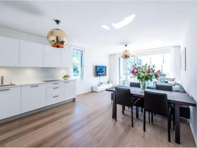 Beautiful luxury apartment of 3.5p furnished in Montreux with lake view