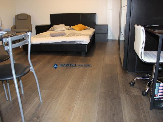 Beautiful Luxury Refurbished Large Double Studio to rent in NW4