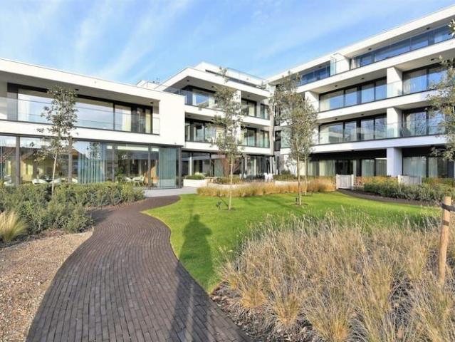 Beautiful move in ready service apartment with big terrace