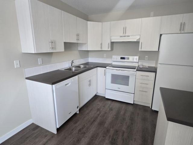 Beautiful Modern One Bedroom Available Now