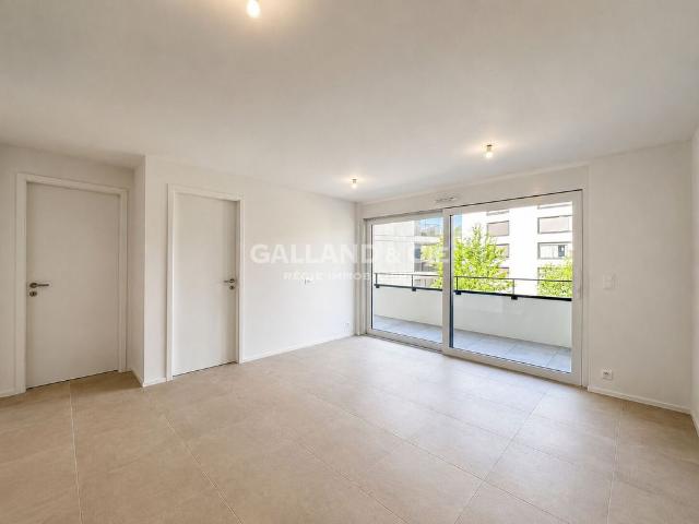 Beautiful new apartment in the heart of a popular neighborhood
