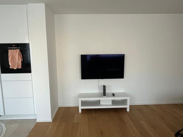 Beautiful new apartment in walking distance to the university
