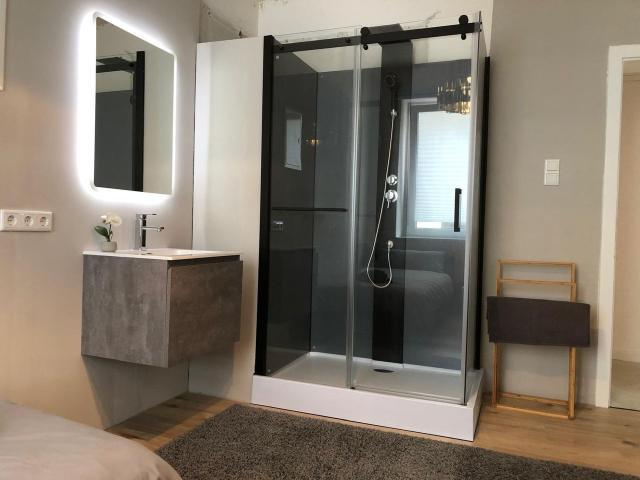 Beautiful new central 3 bedroom flat for 6 guests, Dusseldorf Amsterdam Apartments for Rent