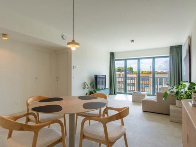 Beautiful new furnished 1br. apartment with balcony