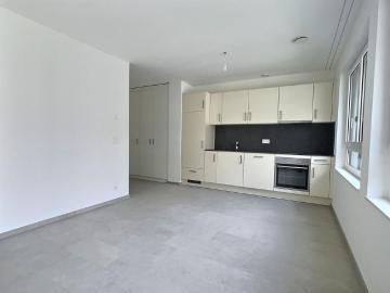 Beautiful new studio with parking space in the garage for rent Sion