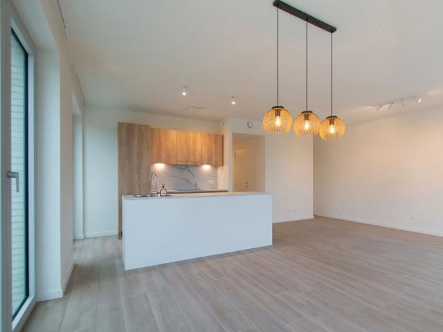 Beautiful new 2br. apartment with terrace Lobroekplein