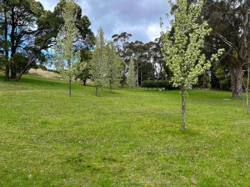 8 Acres of Land Perfect for Your Sustainable Home with fabulous dam. Owner says SELL