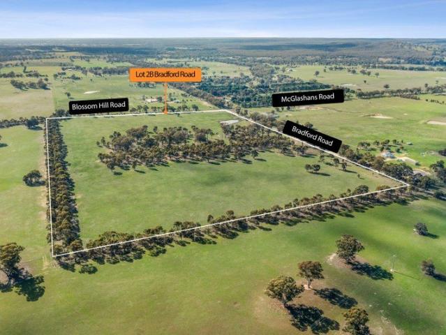 Beautiful & Scenic 62 Acres