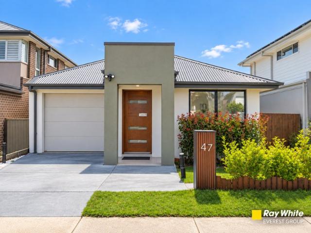 Beautiful Single Level Family Living with Impressive Outdoor Entertaining
