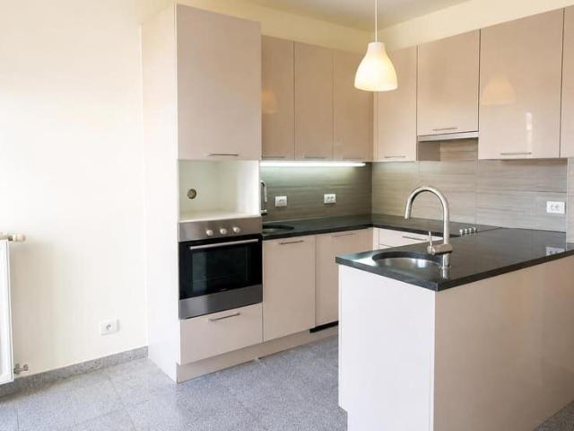 Beautiful & Spacious 3 Bedroom Apartment in the Heart of Ant