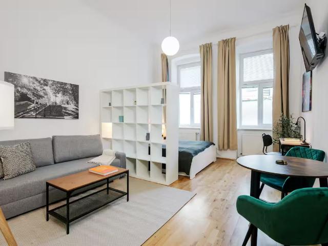 Beautiful spacious Studio near Metro & Schönbrunn, in very nice traditional Vienne Building