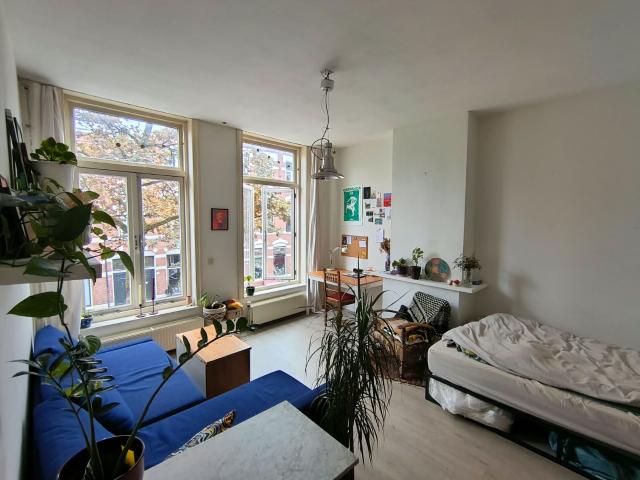 Beautiful, spacious room in the Tacohuis