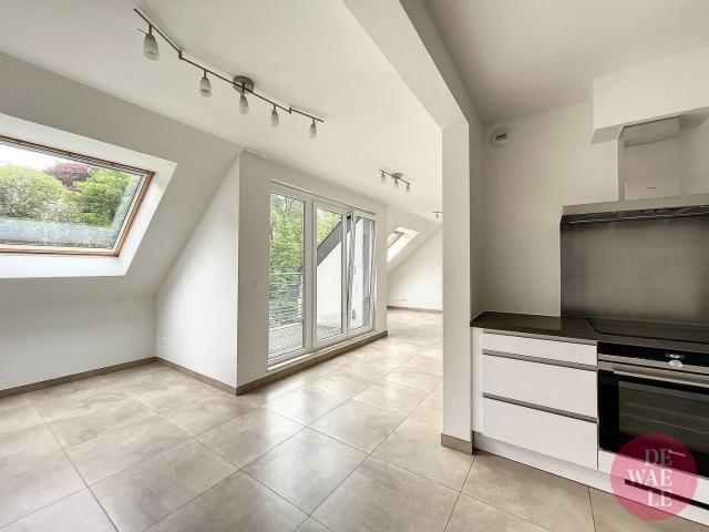 Beautiful studio near the magnificent Laeken Park