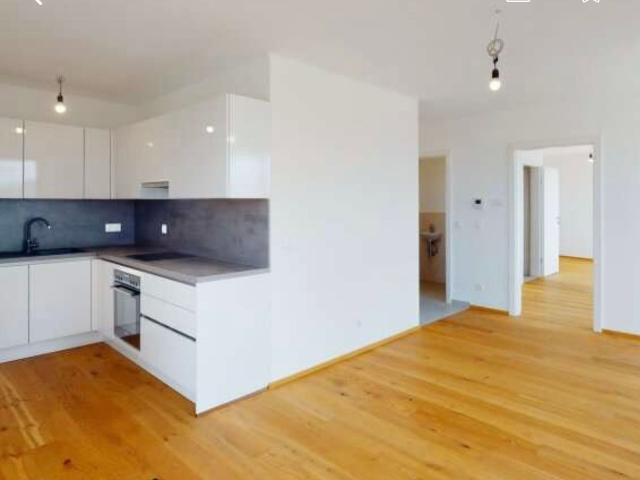 Beautiful studio close to park Wien