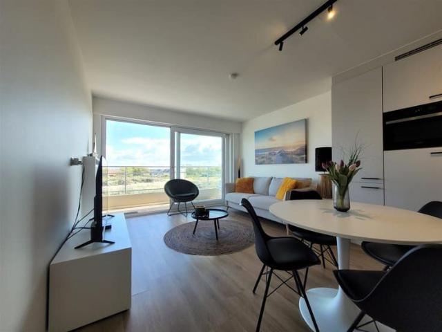 Beautiful studio with a sunny terrace