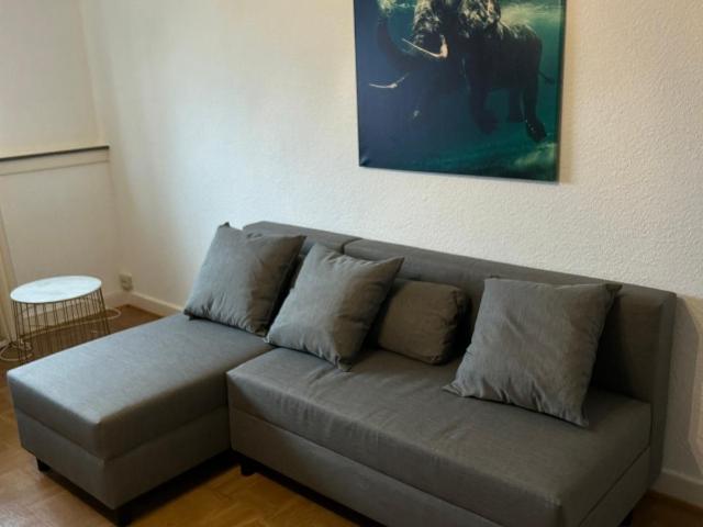 beautiful studio 2,5 rooms conveniently located, Frankfurt Amsterdam Apartments for Rent