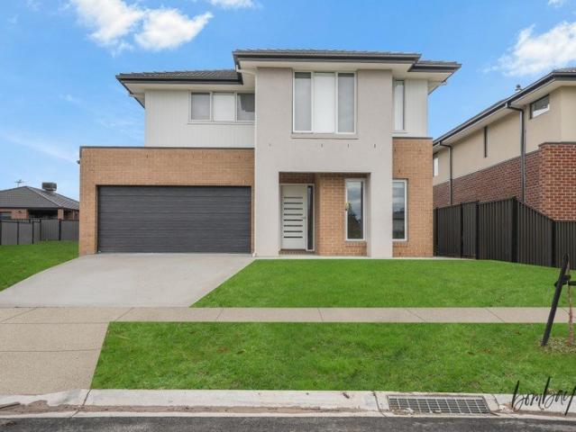 Beautiful & Stunning Family Home