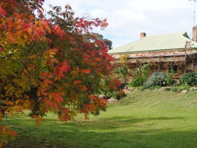 BEAUTIFUL STONE HOMESTEAD CLOSE TO RYLSTONE