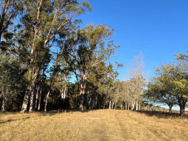 Beautiful Pasture, Fabulous Forest, 4 Dams, Creek, & 4 bedroom House Renovators Delight