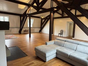 Beautiful renovated 7 room apartment in the heart of Carouge – Geneva