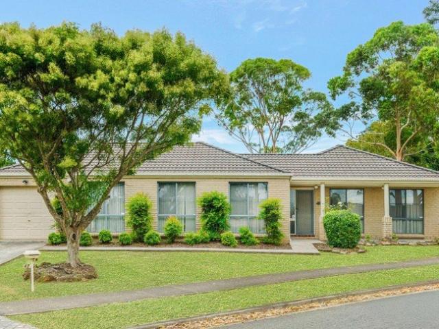 Beautifully Updated Family Home | Light Filled Living | Multiple Living Areas
