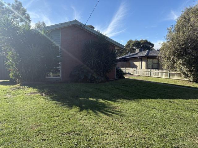 Beautifully Updated Family Home with Spacious Yard