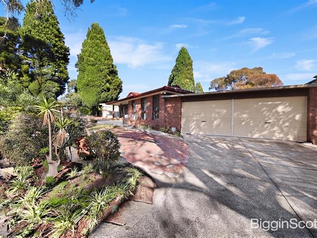 Beautifully Updated 4 Bedroom + Study Home with Expansive Outdoor Space