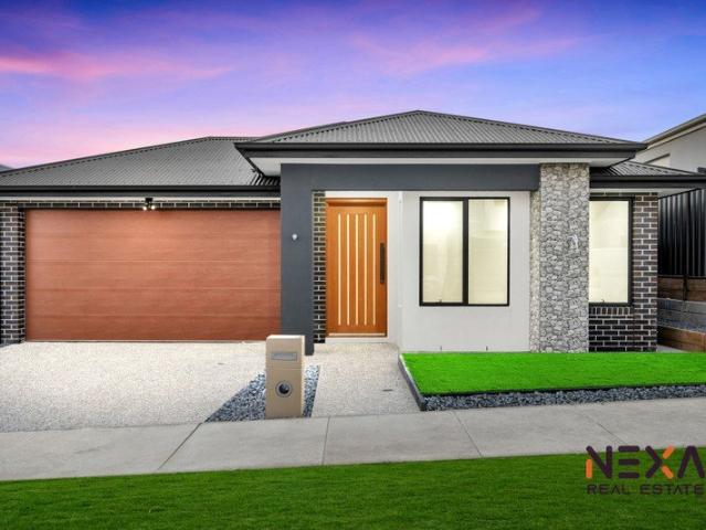 Brand New 4 Beds Luxurious House Must Sell Contact Today!