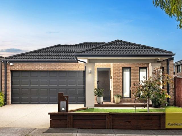 Beautifully Designed, Spacious Living at 9 Faro Street