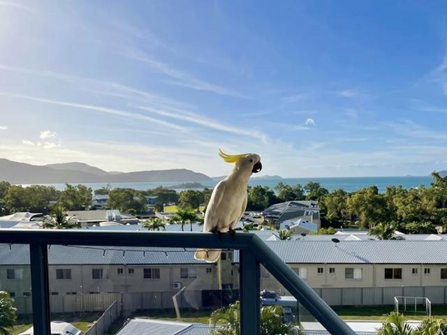 Beautifully Furnished 2 Bedroom Coastal Unit with Stunning Ocean Views