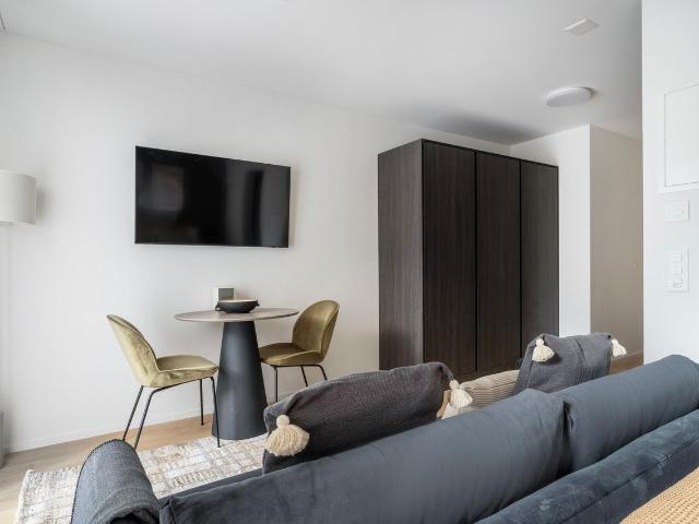 Beautifully Furnished Studio Apartment in Sihlfeld, Zurich Amsterdam Apartments for Rent