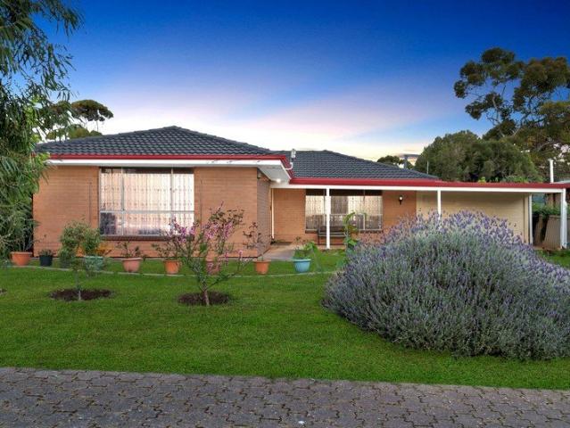 Beautifully Maintained Family Living on a Generous Para Vista Block