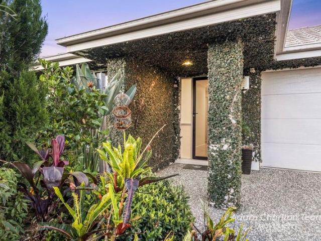 Gorgeous Low Maintenance Home on 480m2 Block
